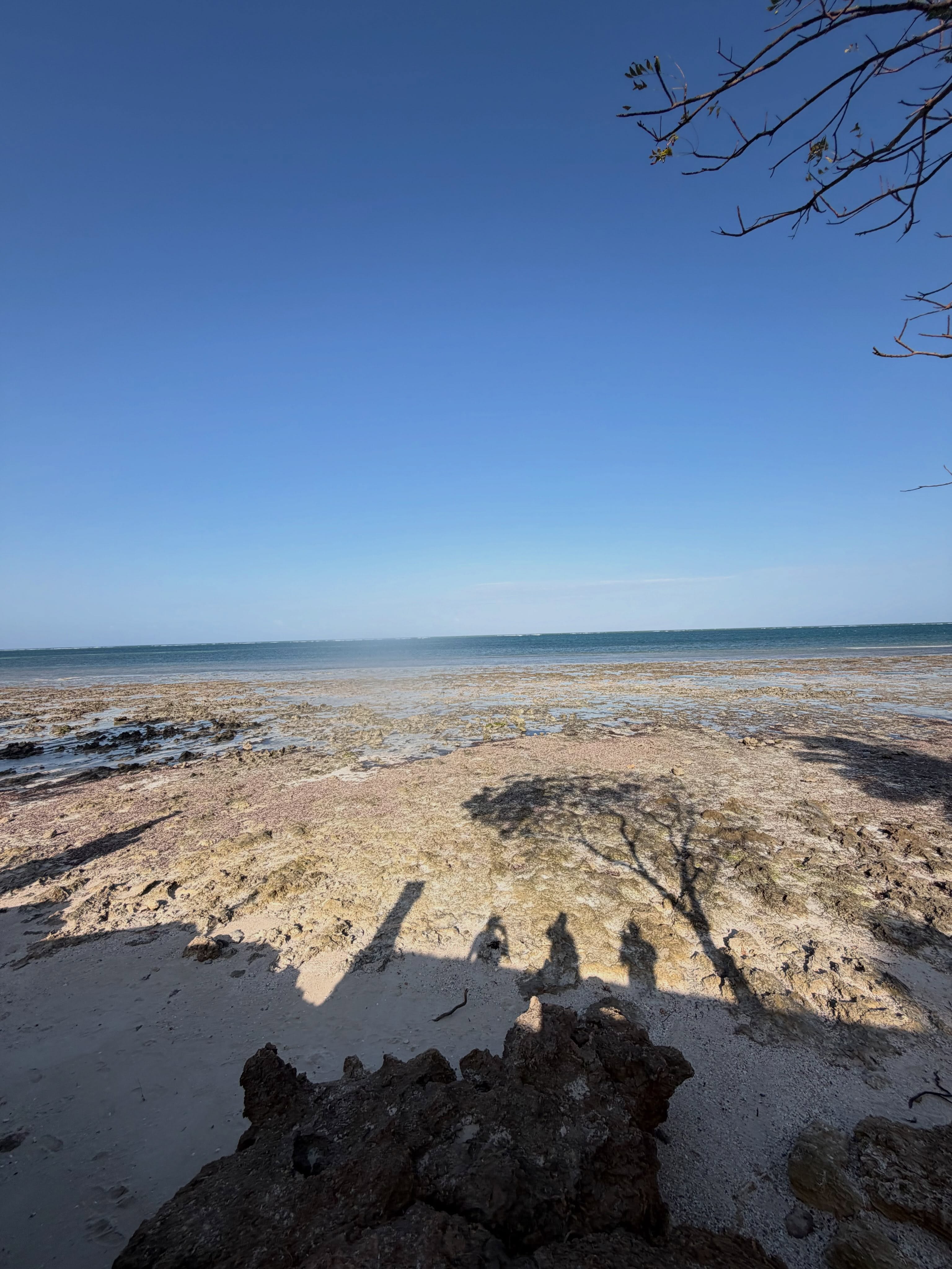 5-Acre Beachfront Land for Sale in diani- galu