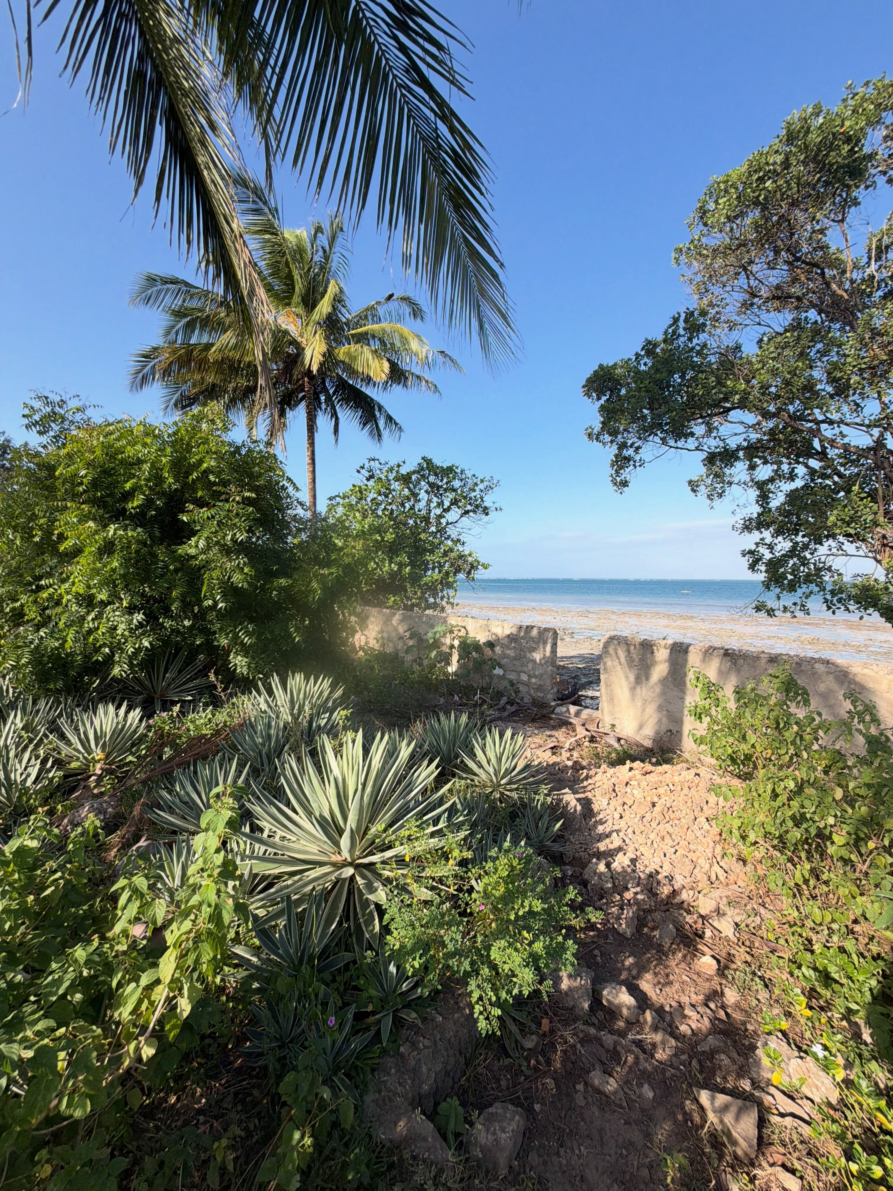 5-Acre Beachfront Land for Sale in diani- galu Image
