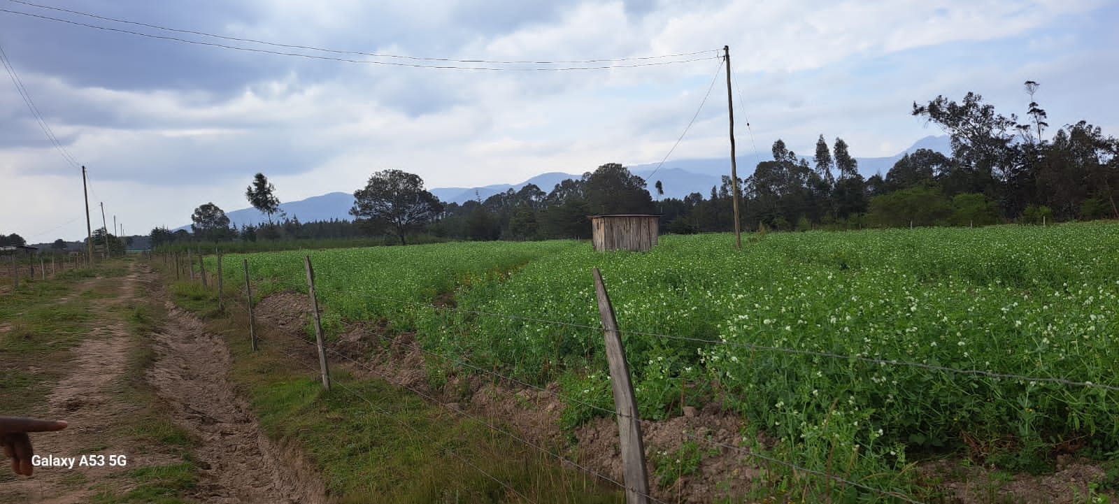 5 acre for sale in Njabini area, Kinamba Kinangop in Nyandarua County