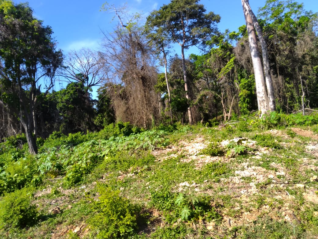 5 acre land for sale in Diani Galu Kinondo area