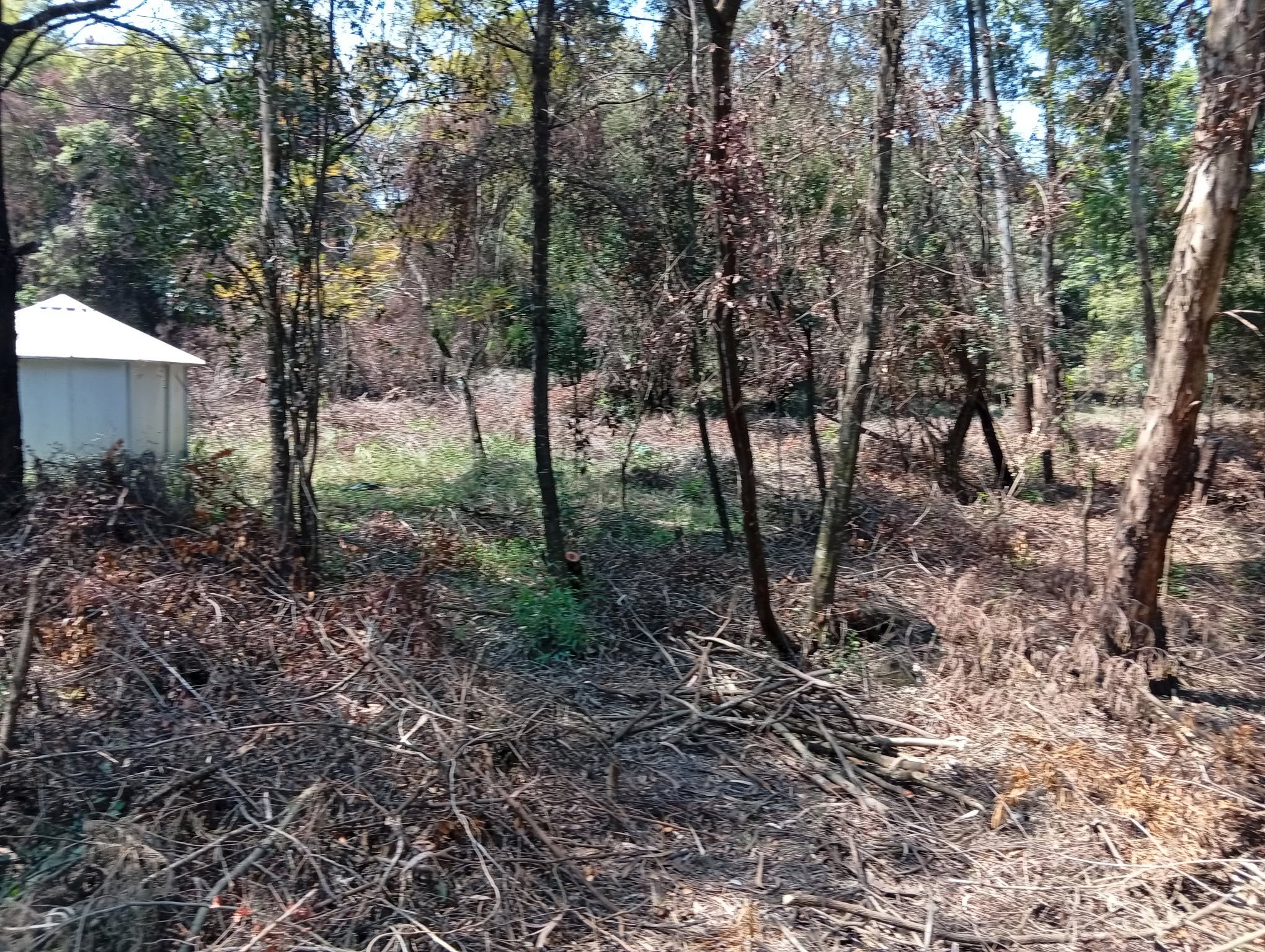 5 acre land for sale in karen, marula lane