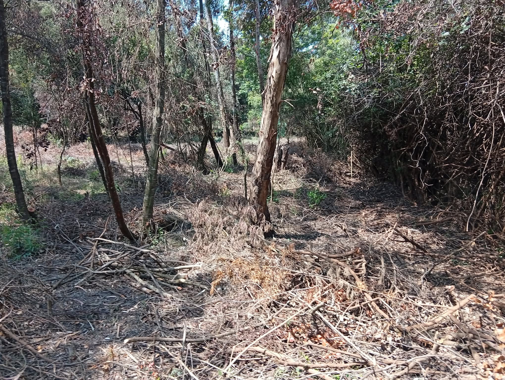 5 acre land for sale in karen, marula lane Image