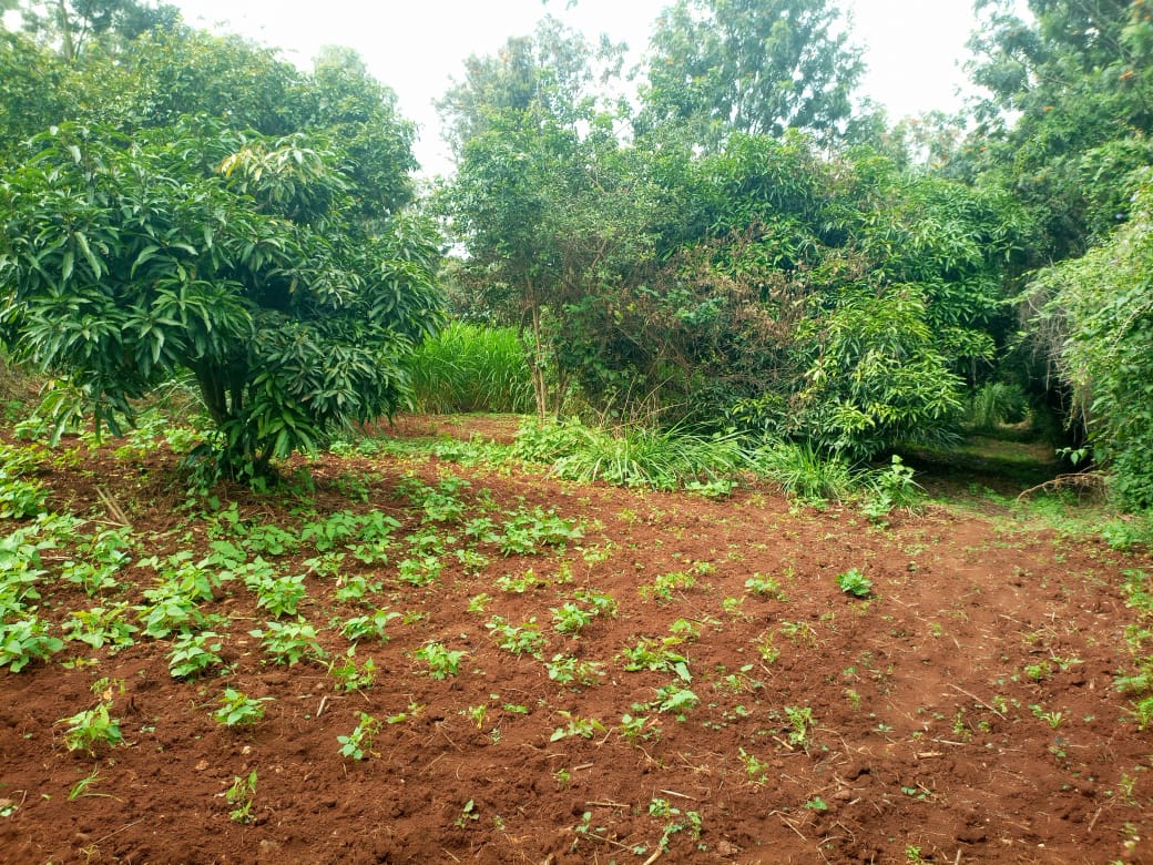 5 acre land for sale in Kiserian, Kona Baridi