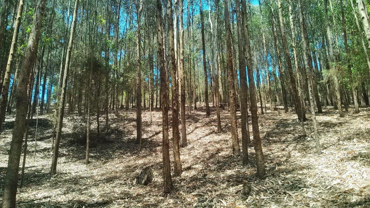 5 acre land for sale in kisiriri, narok north