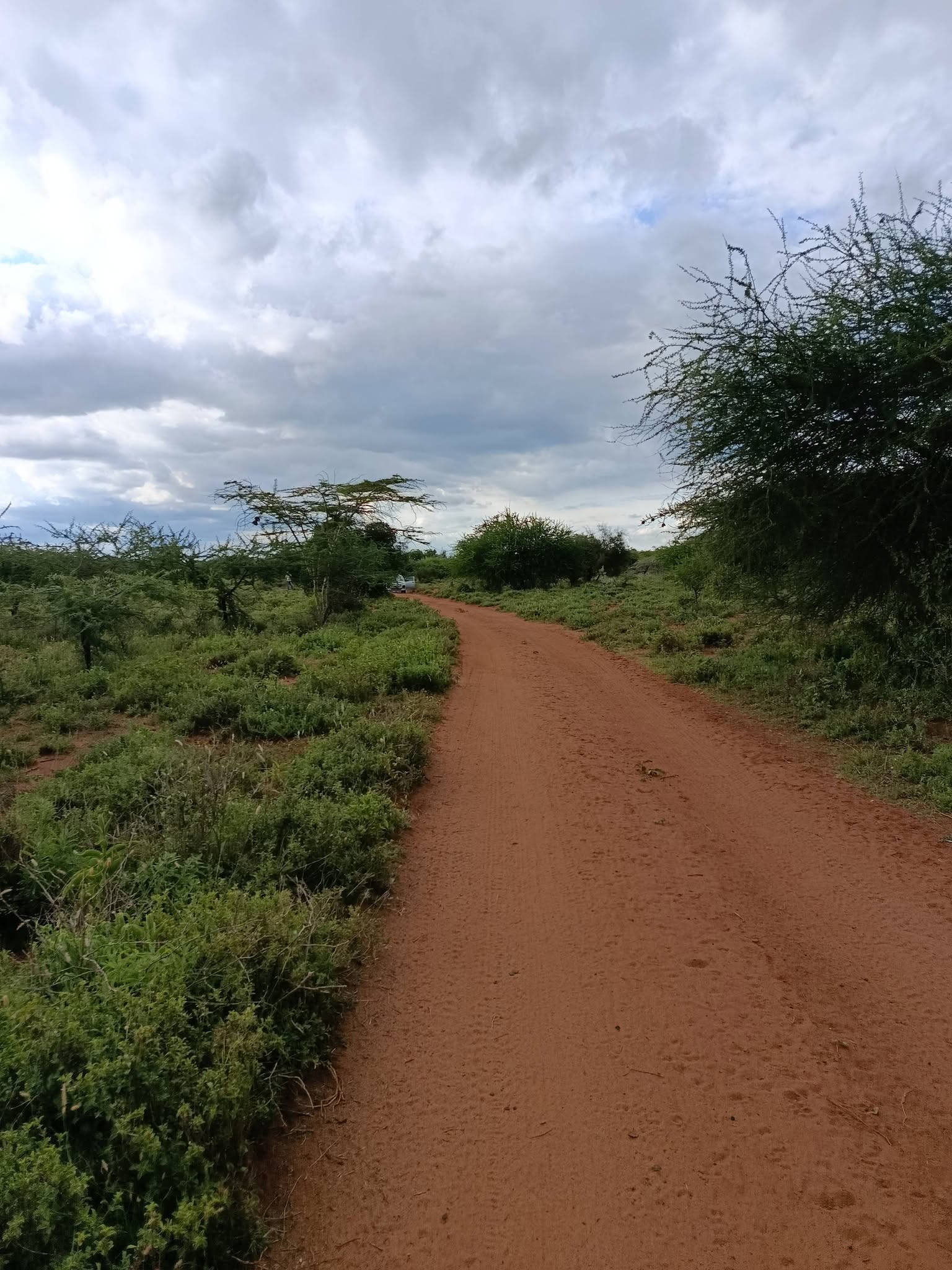 5 acre land for sale in Saikeri ngong