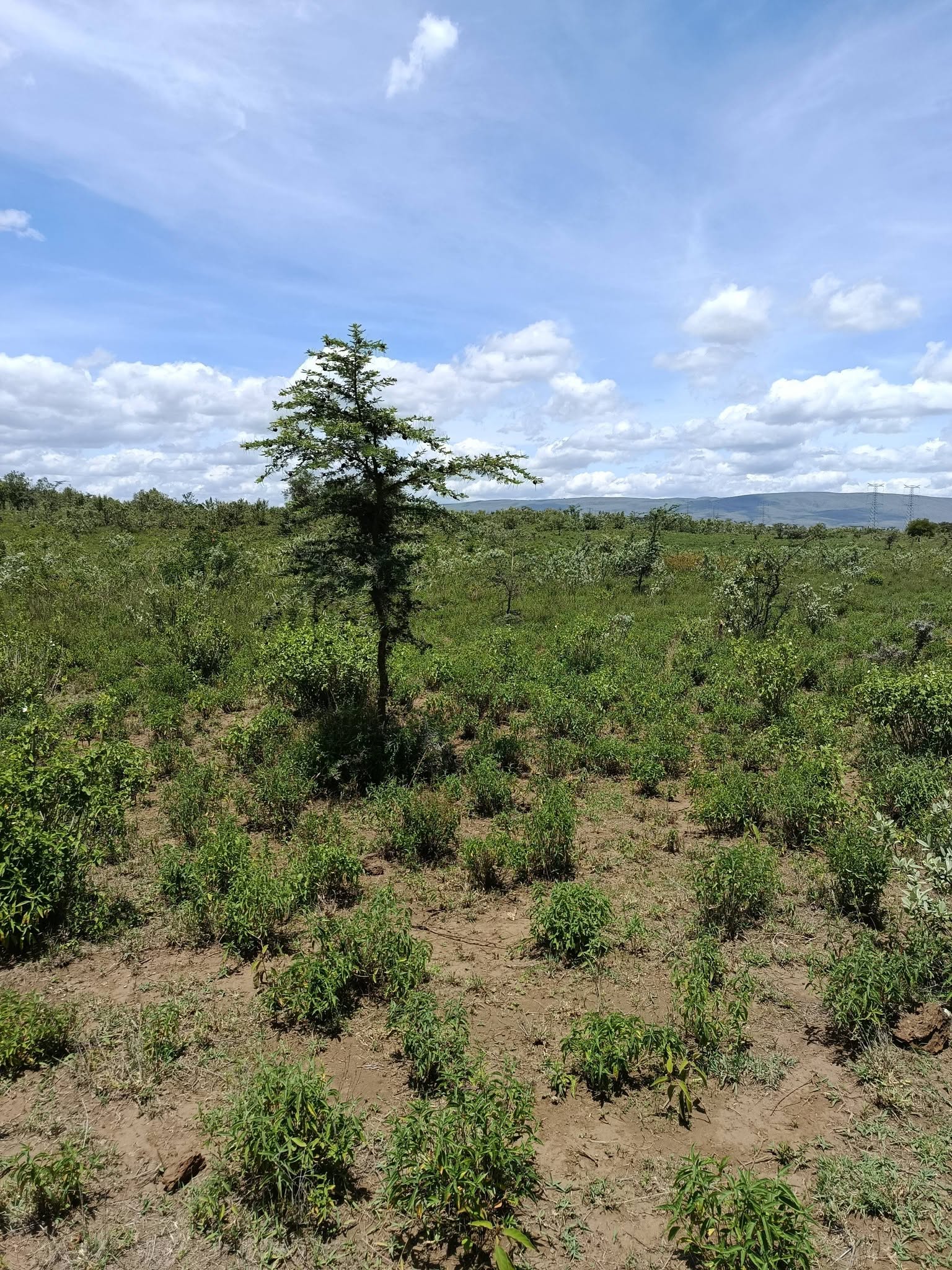 5 acre land for sale in Suswa town, Suswa SGR station Image