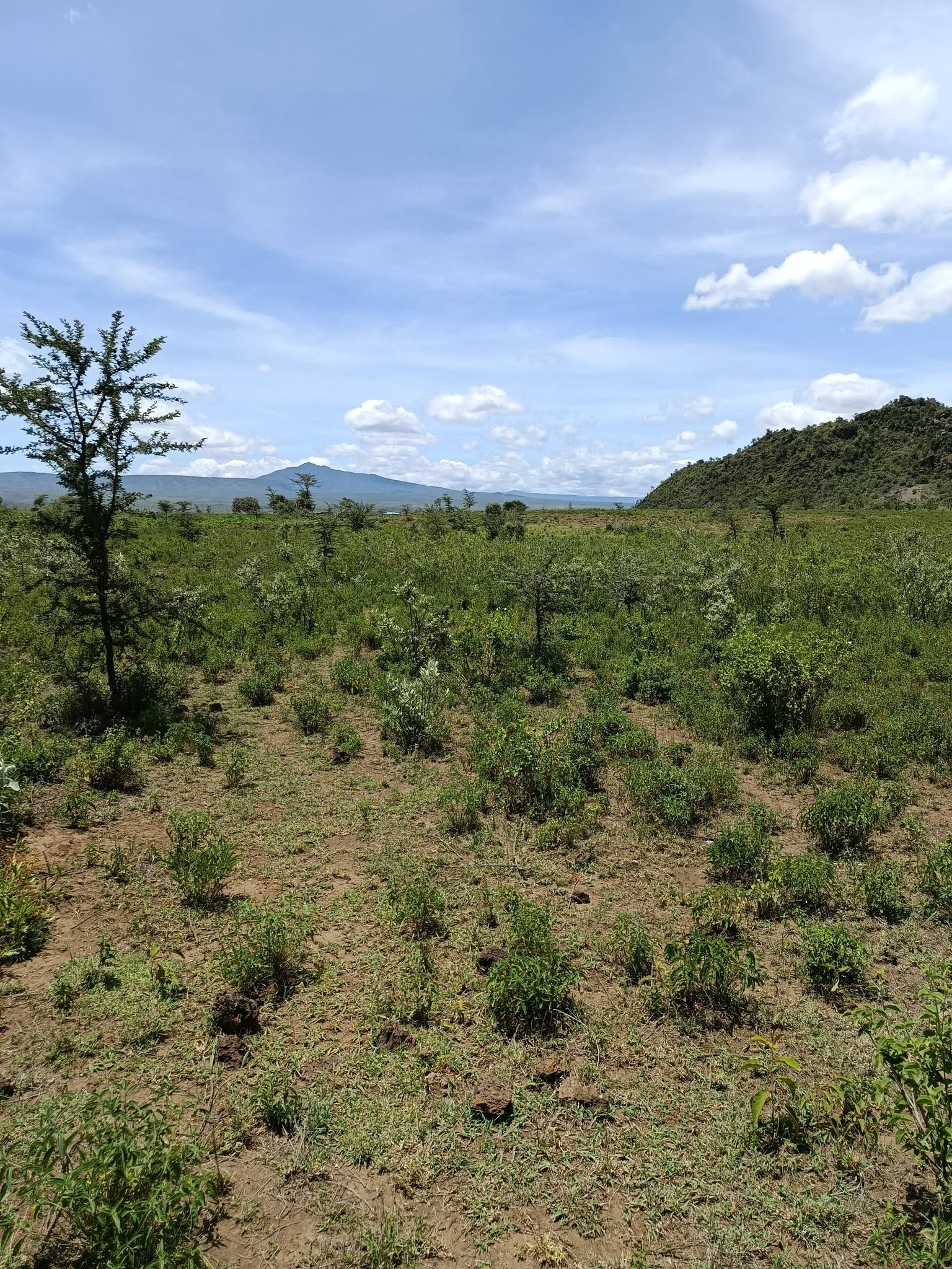 5 acre land for sale in Suswa town, Suswa SGR station