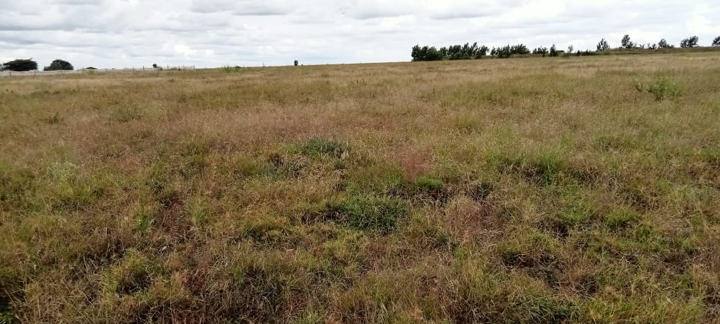 5 ACRES FARM LAND FOR SALE IN ISINYA, KAJIADO COUNTY