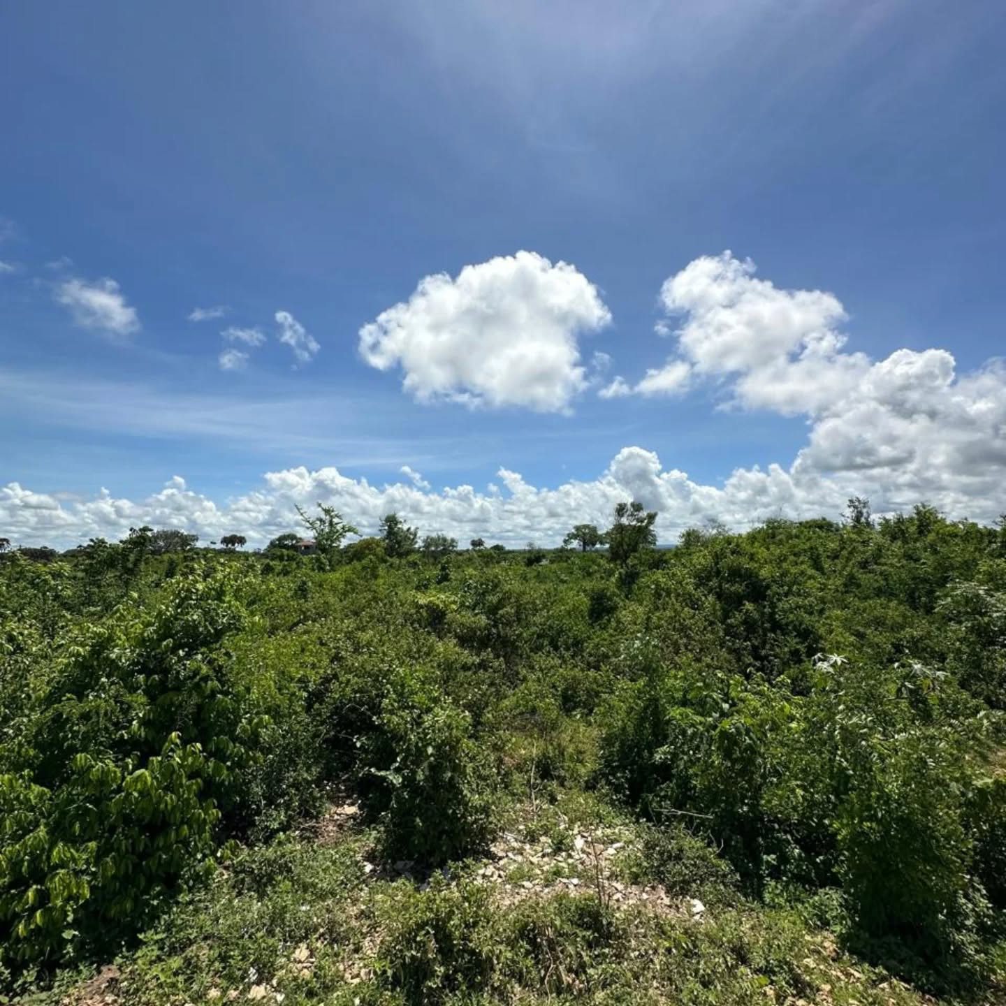 5 Acres Land for Sale in Galu Kinondo, Diani Image