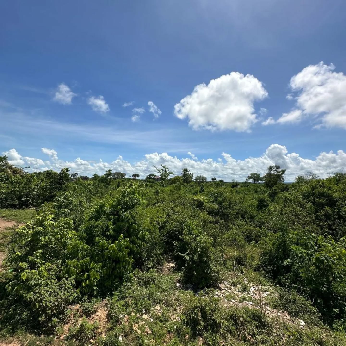 5 Acres Land for Sale in Galu Kinondo, Diani