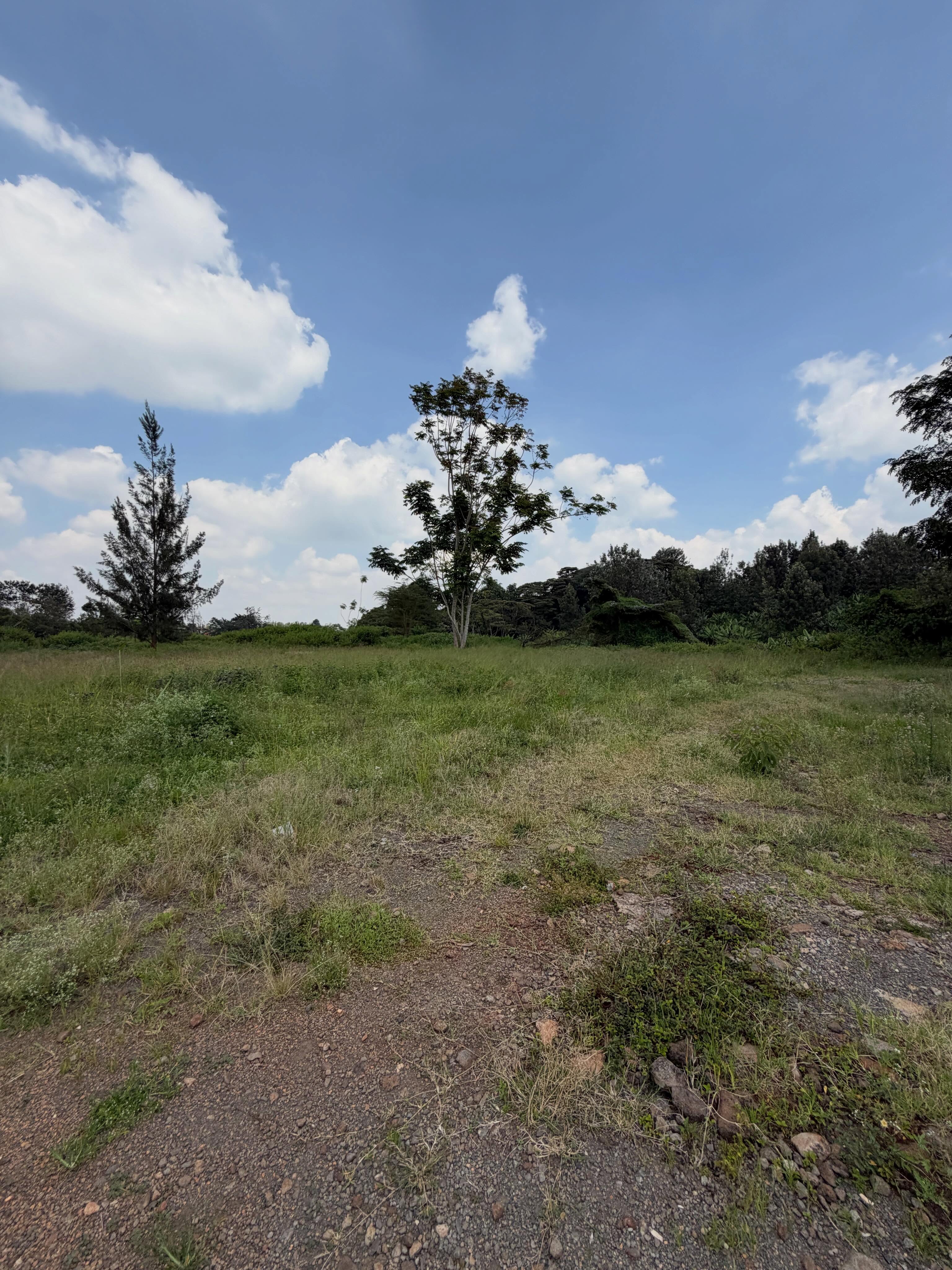 5 Acres Land for Sale in New Runda