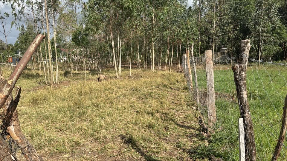 5 ACRES ON SALE IN KAREN, RHINO PARK ROAD Image