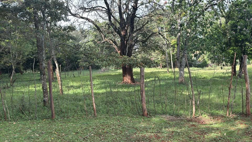 5 ACRES ON SALE IN KAREN, RHINO PARK ROAD Image