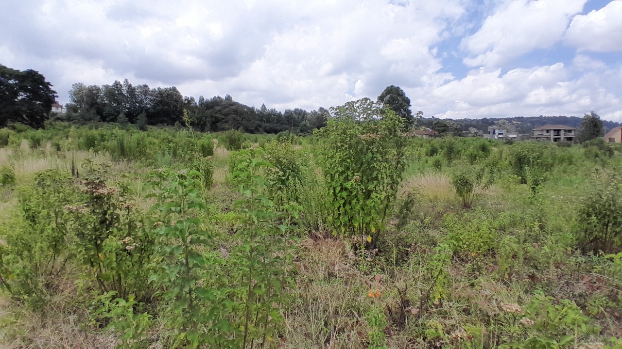 5 acres plot for sale in kerarapon drive Image