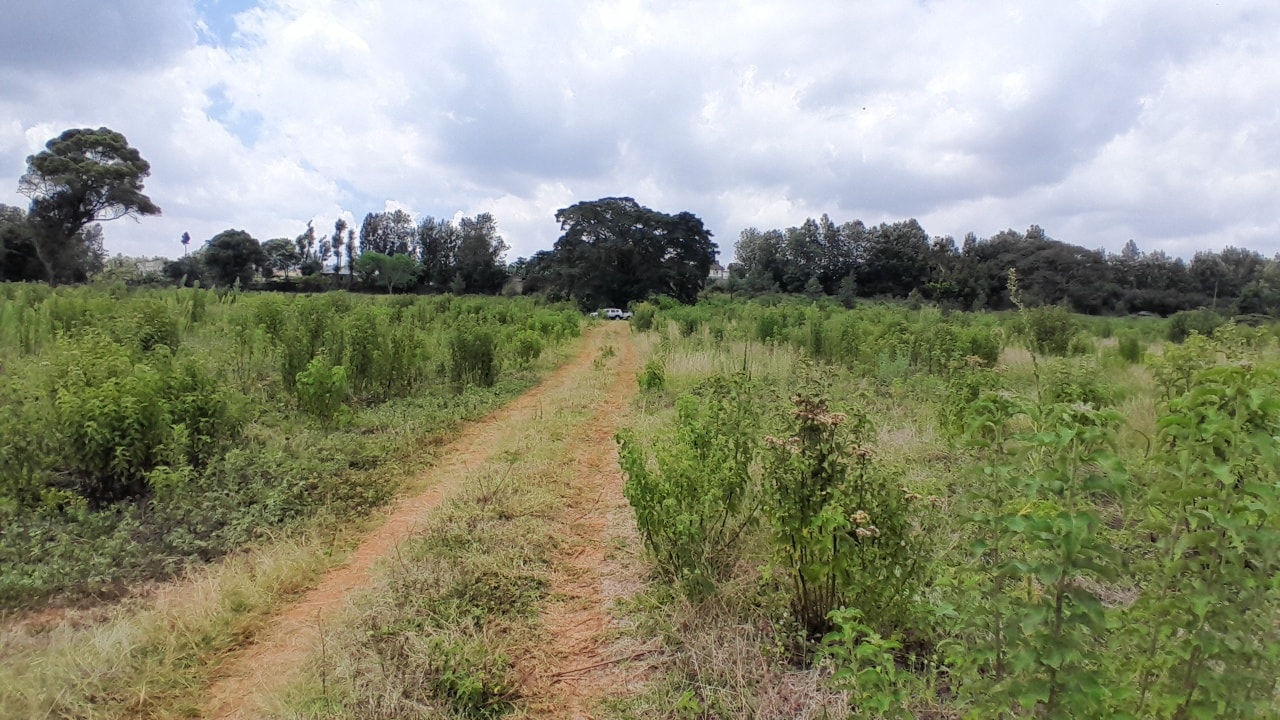 5 acres plot for sale in kerarapon drive