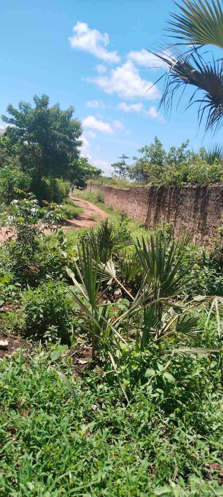 5 acres prime land for sale in Diani, Rock Galana Apartment area.