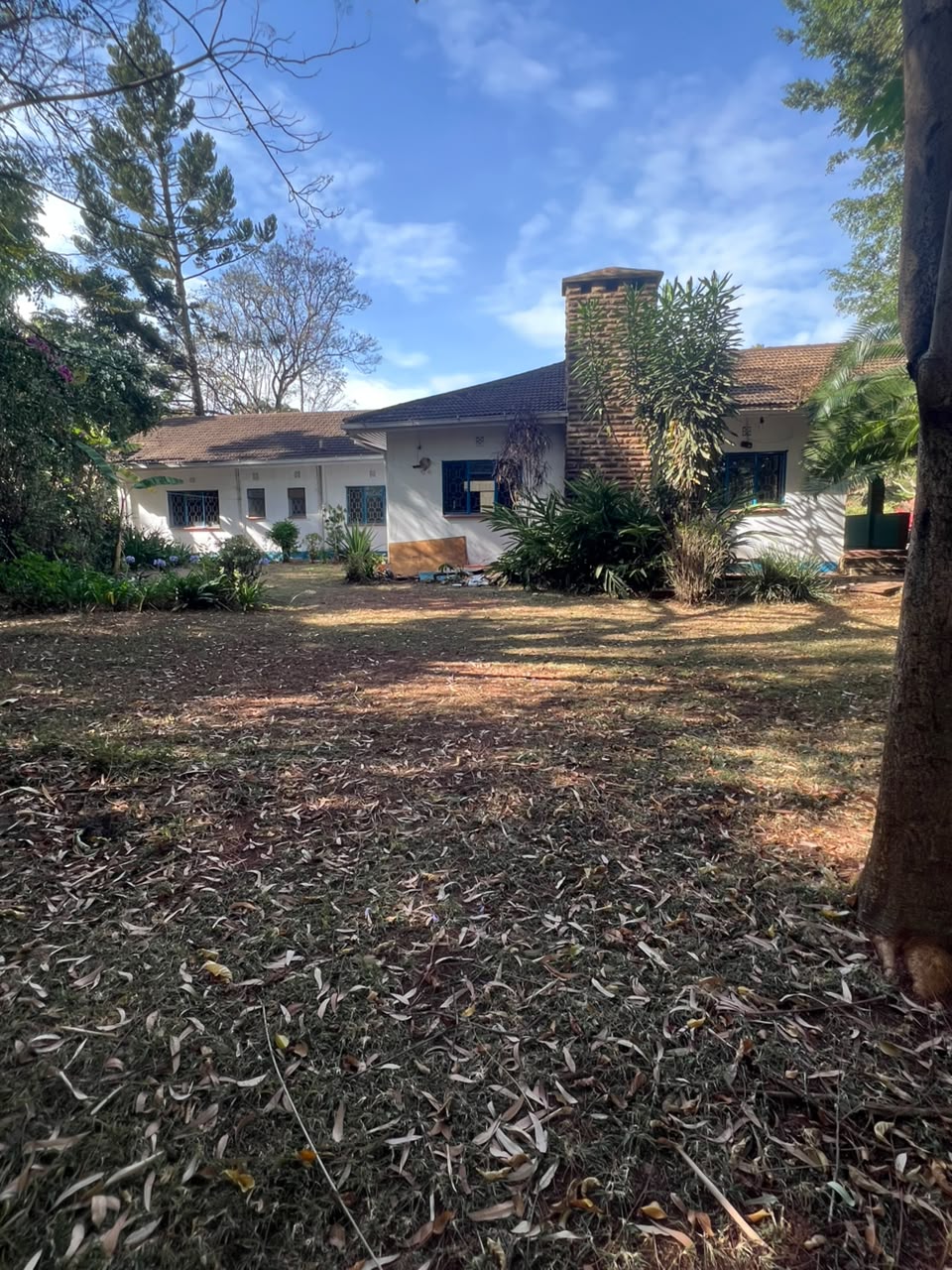 5 bedroom bungalow for plus 3 dsq for rent in riverside | lavington