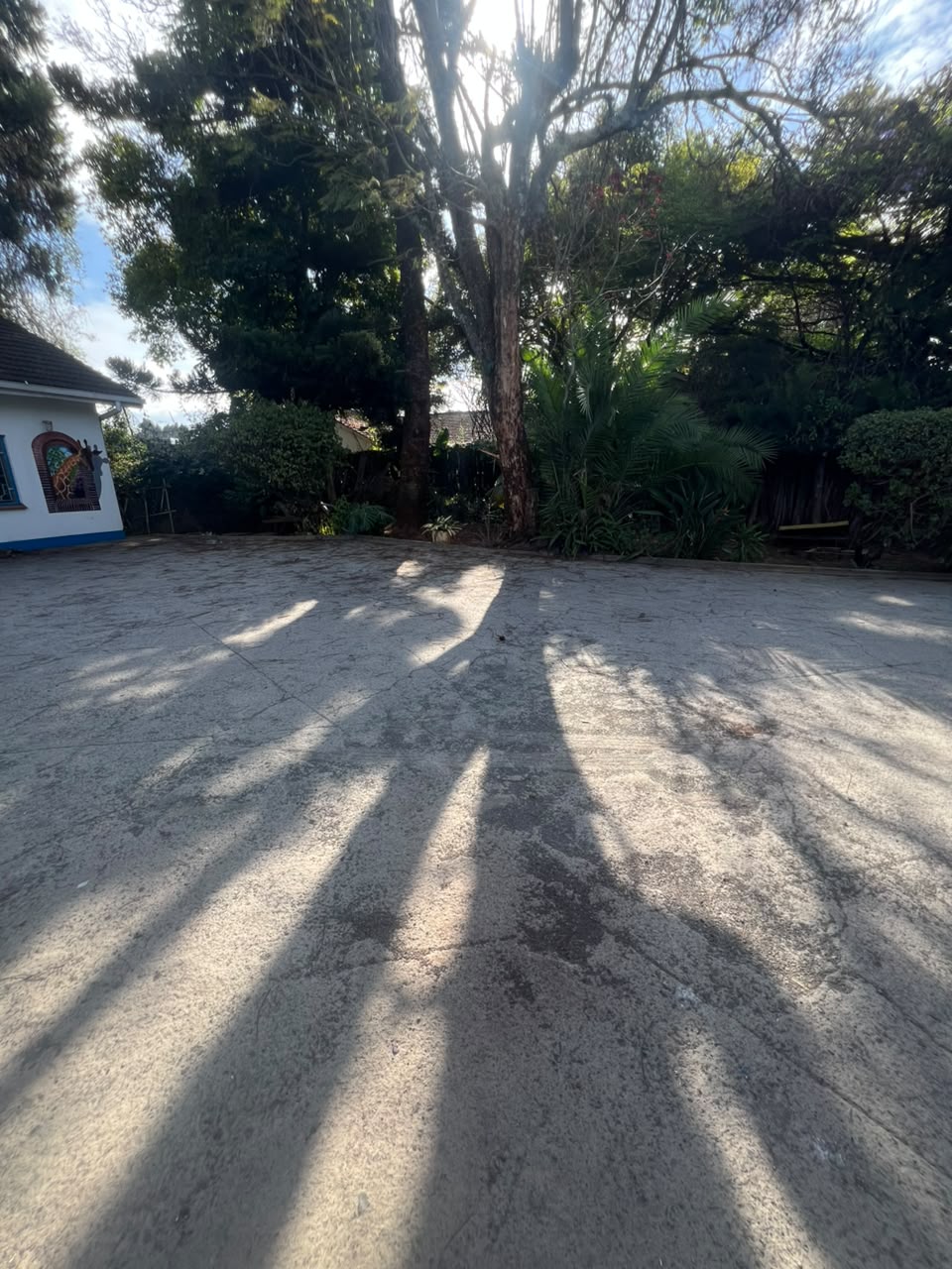 5 bedroom bungalow for plus 3 dsq for rent in riverside | lavington Image