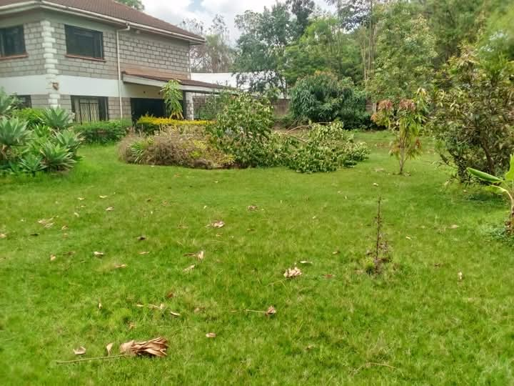 5 Bedroom Bungalow Office Space To Let in Lavington