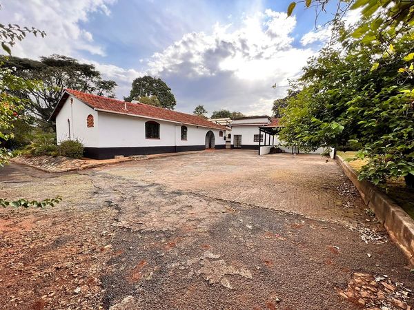 5 bedroom bungalow plus Dsq to let in Loresho