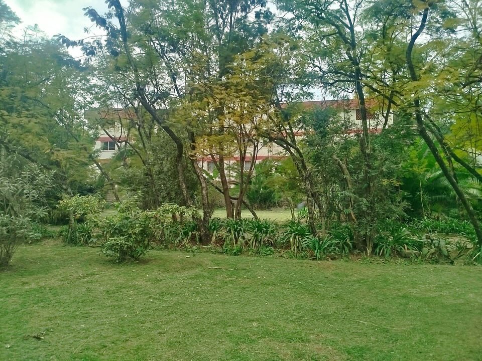 5 bedroom bungalow with SQ for sale in Kilimani Image