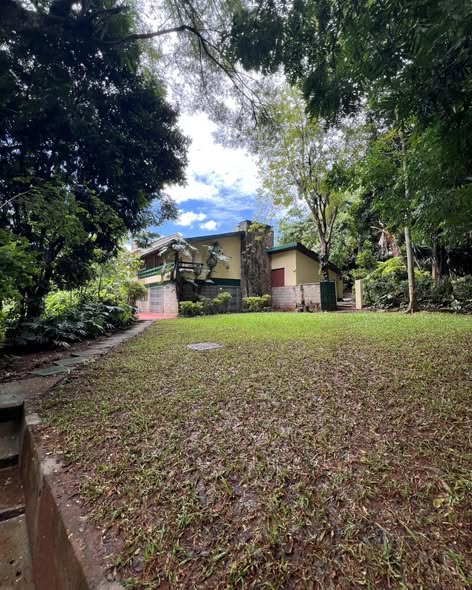 5-Bedroom Maisonette + 2 DSQ For Rent in Lavington