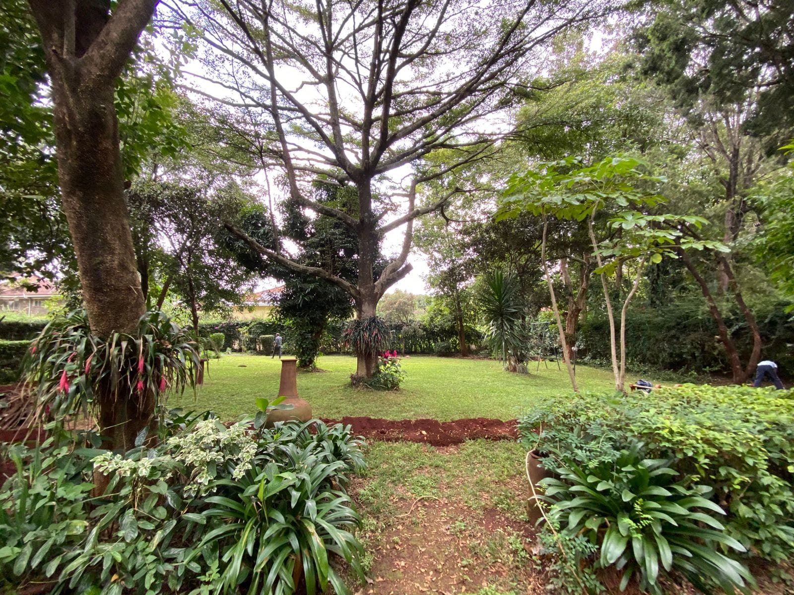 5 bedroom maisonette for rent in Nyari Image