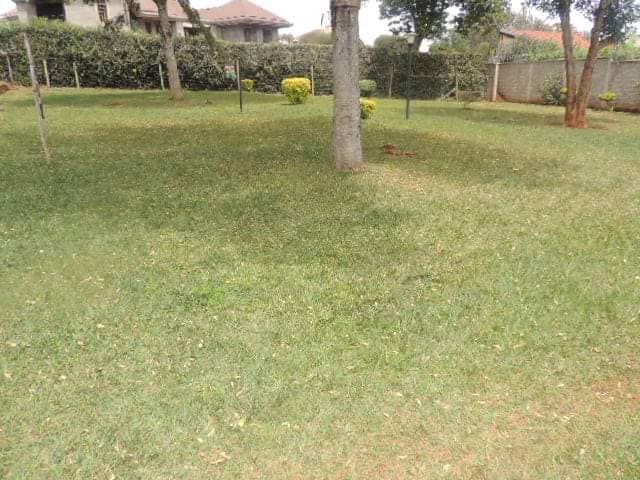 5 bedroom maisonette for sale in Runda, Mimosa