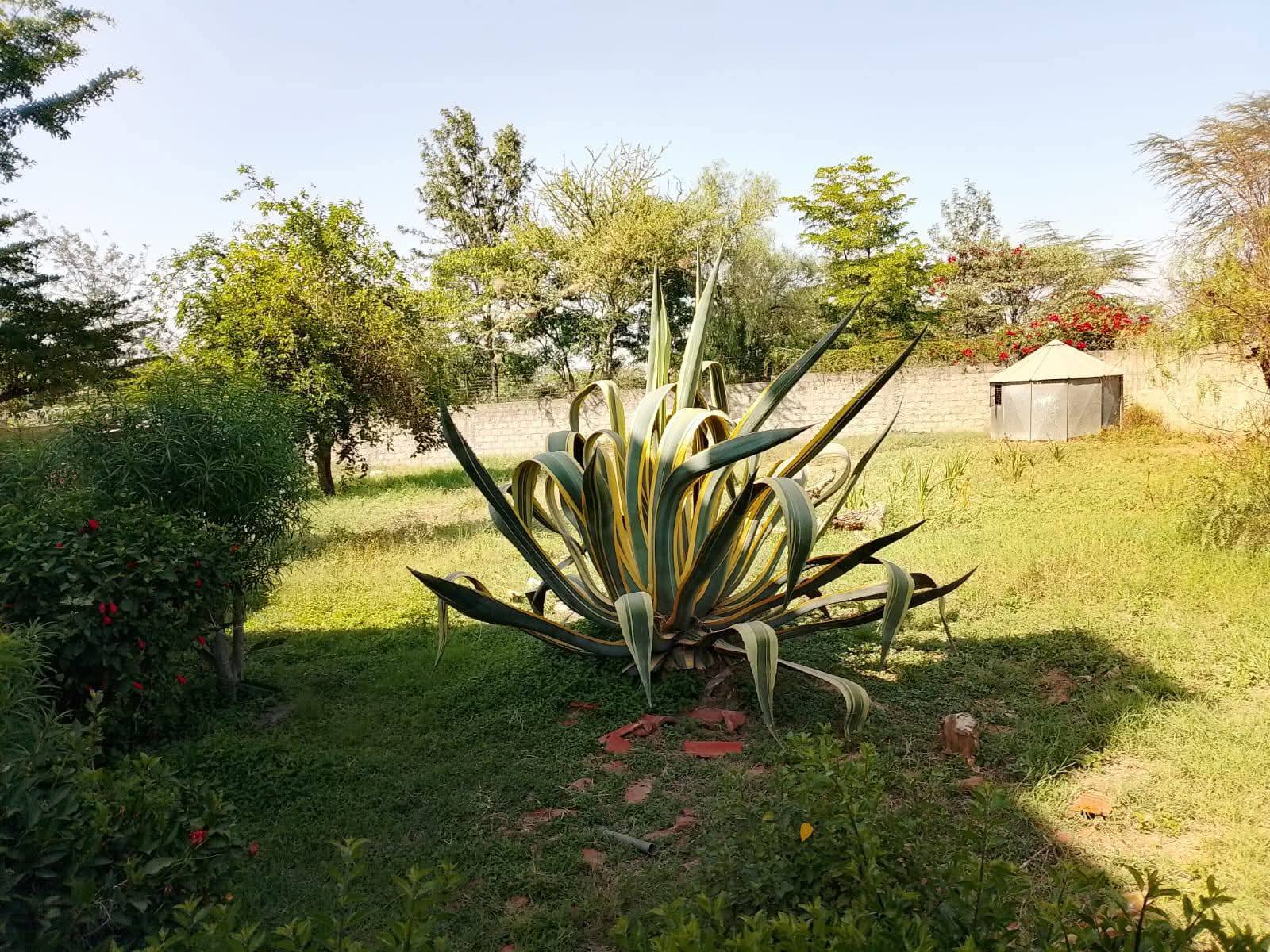 5-Bedroom Mansionatte for Rent in Athi River, Senior Staff Estate, Mombasa Road Image