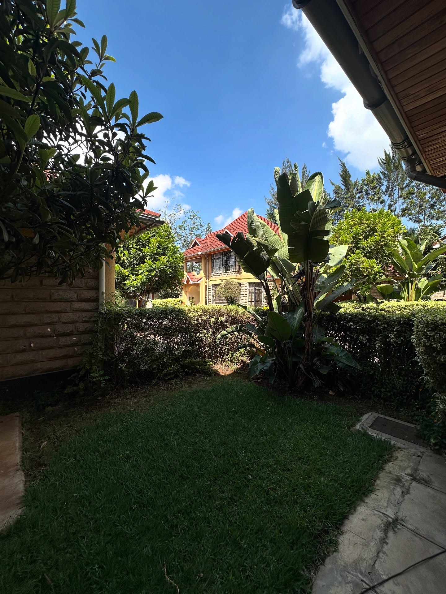 5 bedroom plus dsq townhouse to let in Lavington