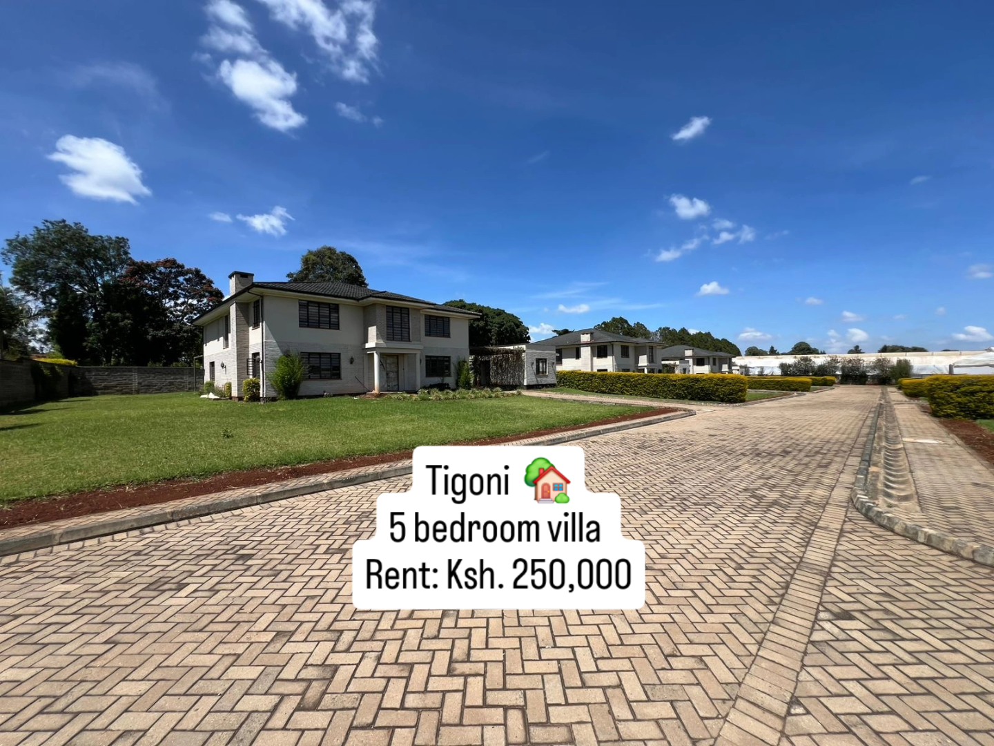 5 bedroom plus dsq villas to let or sale in Tigoni, Limuru