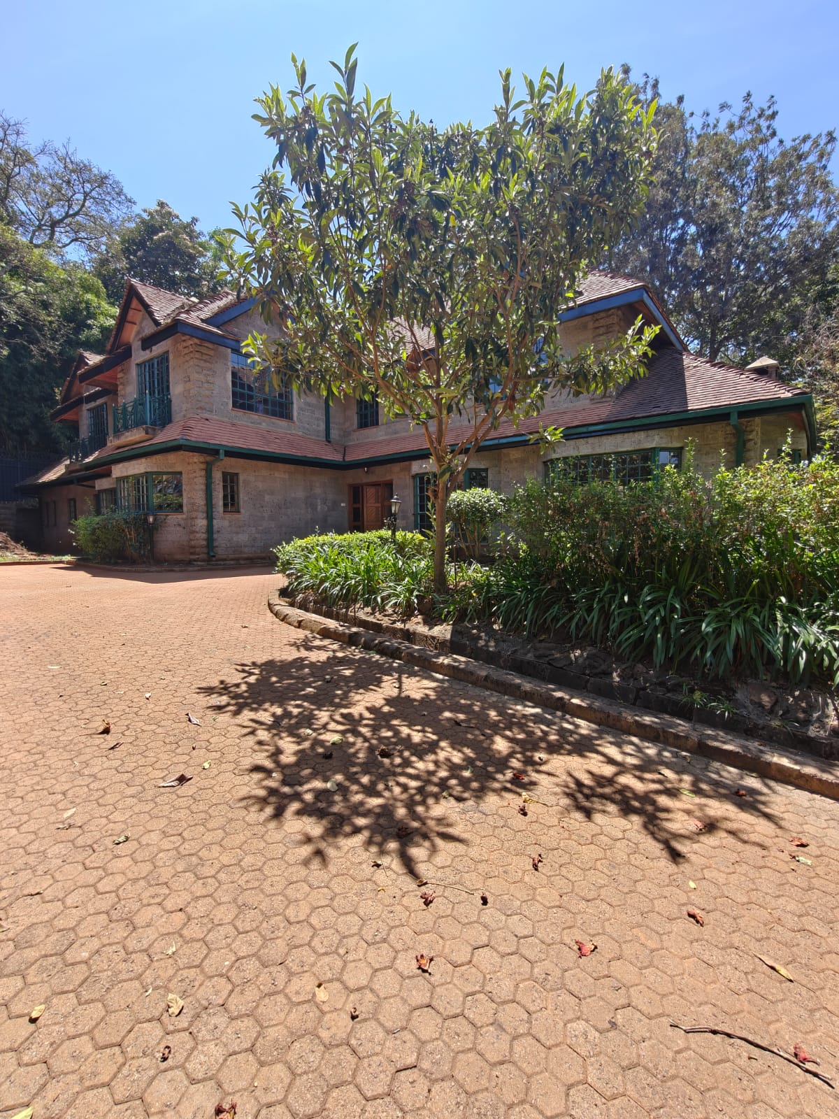 5 Bedroom Villa Plus Dsq To Let in Karen