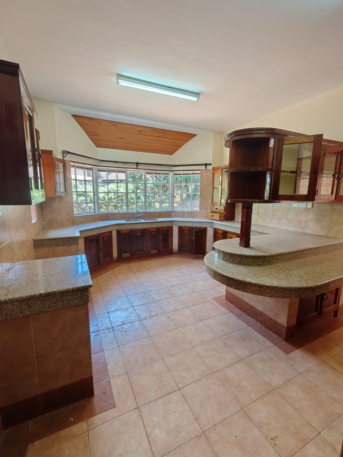 5 Bedroom Villa Plus Dsq To Let in Karen Image