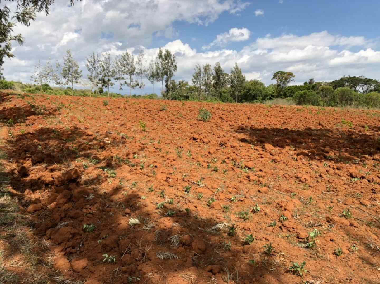 Prime land fo sale in Nanyuki