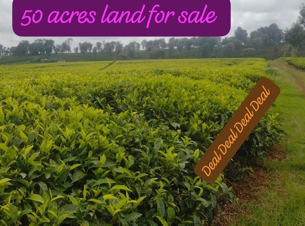 50 acre land for sale in Kiambu