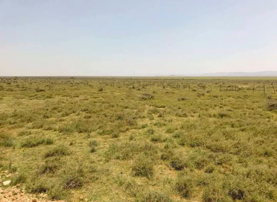 50 acre land for sale in narok, oldonyorasha