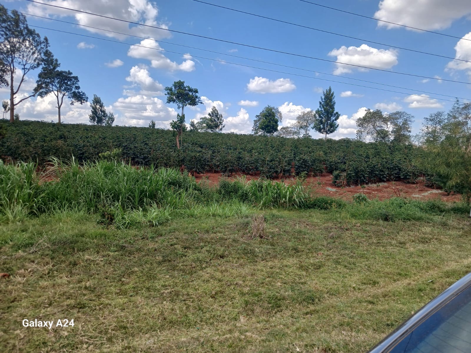 50 acres for sale Kiambu fronting the Nothern bypass