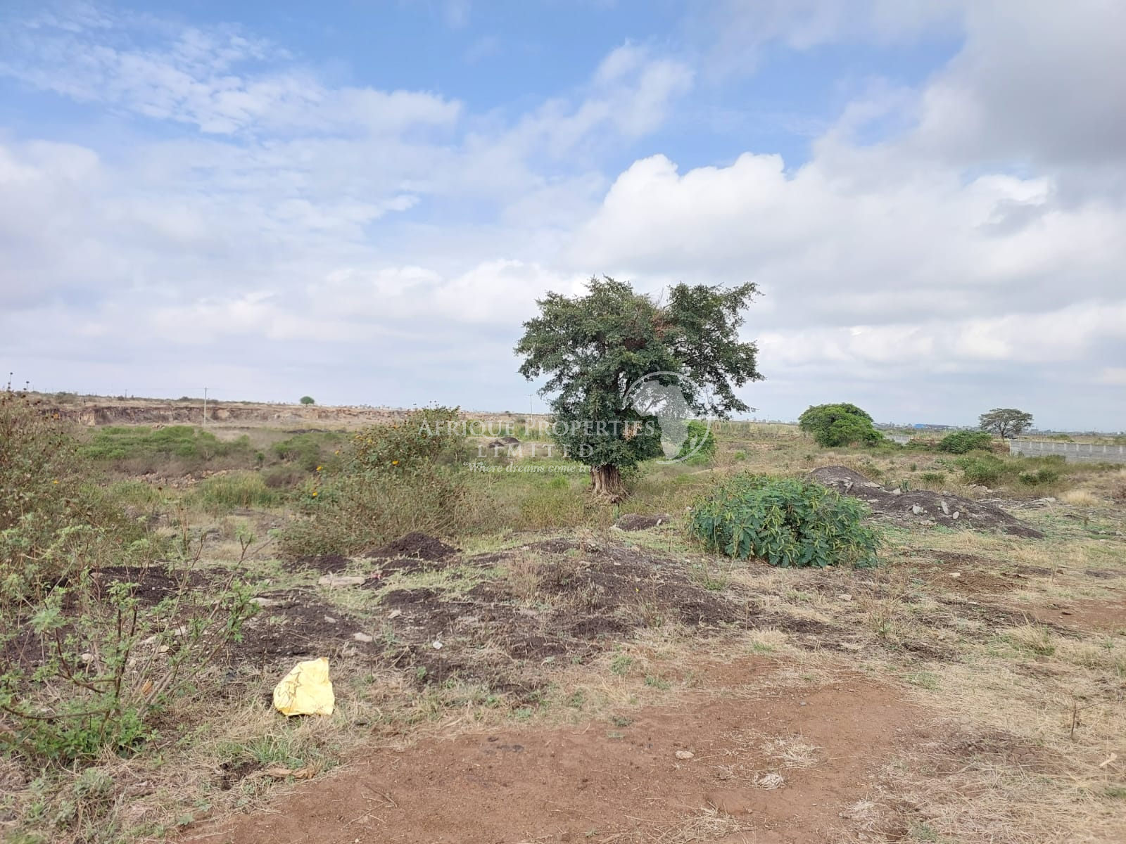 50 by 100 plot for sale in Juja Image