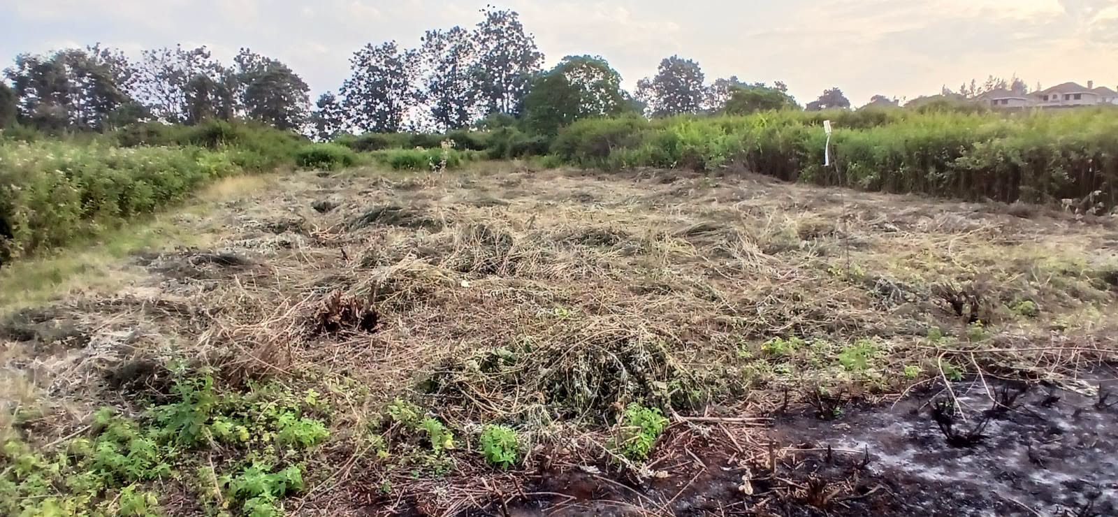 50 by 100 plot for sale in kamiti corner Image