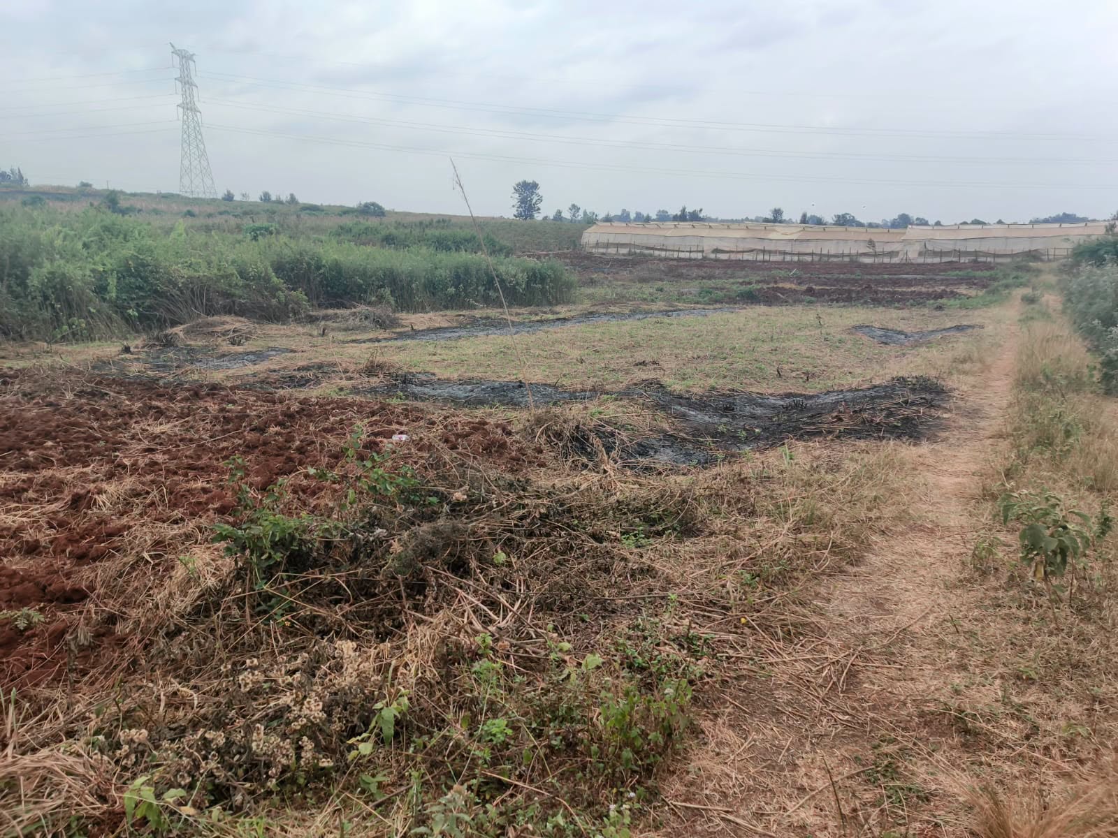 50 by 100 plot for sale in kamiti Corner
