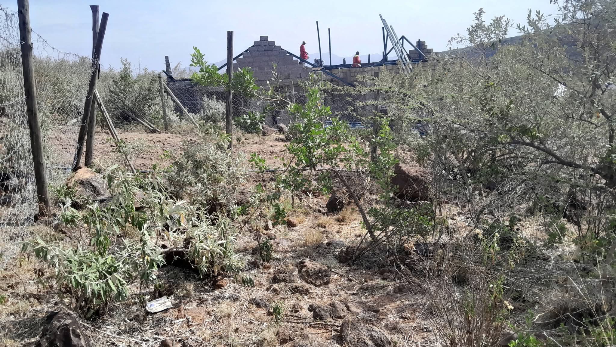 50 by 100 plot for sale in Kimuka, Ngong