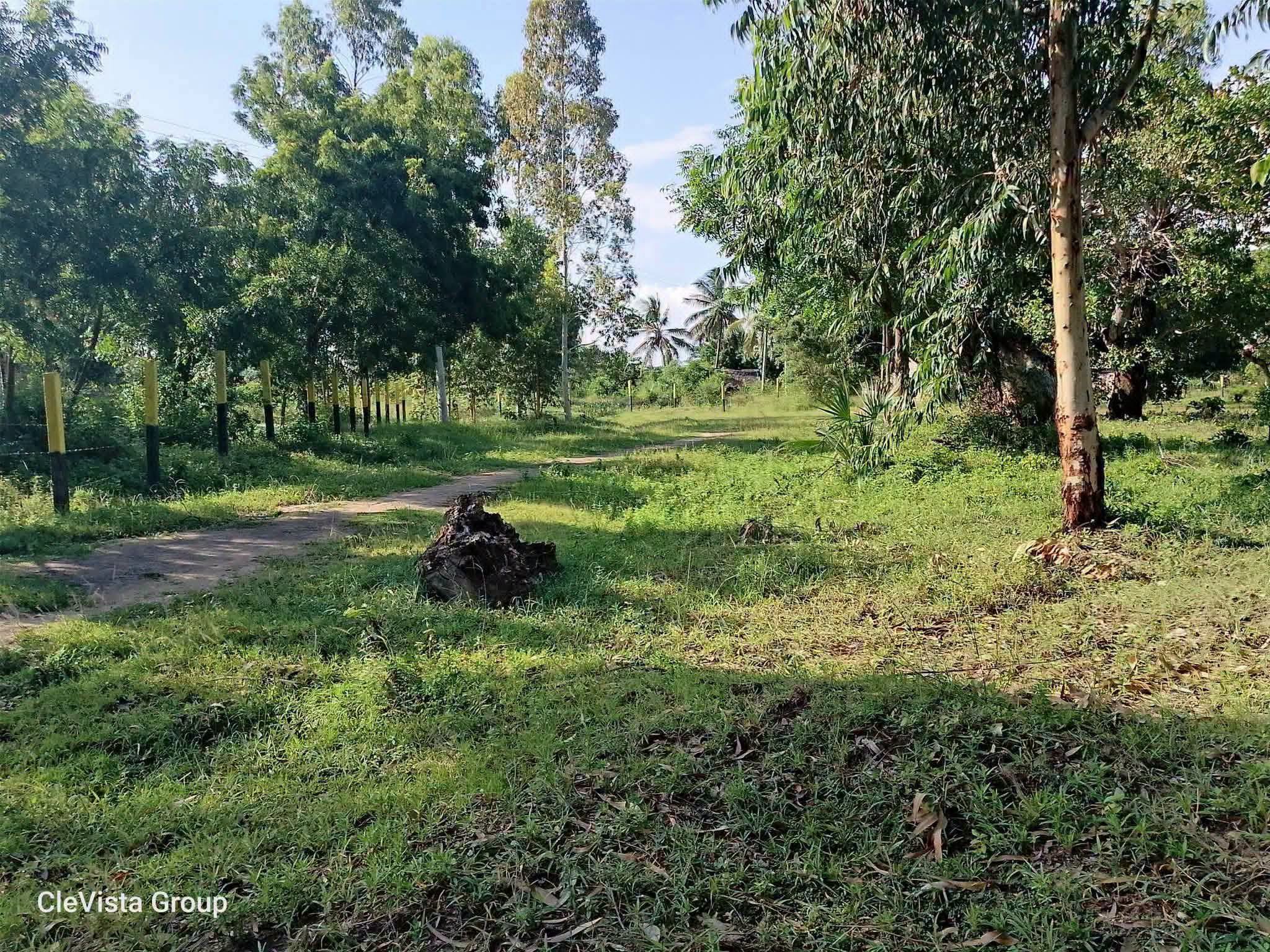 50 by 100 plot for sale in kombani kwale Image