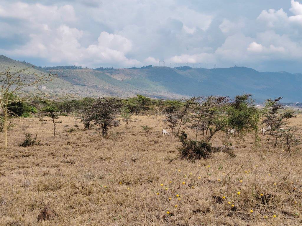 50 by 100 plot for sale in Ngong, Kimuka Tunnel. Image