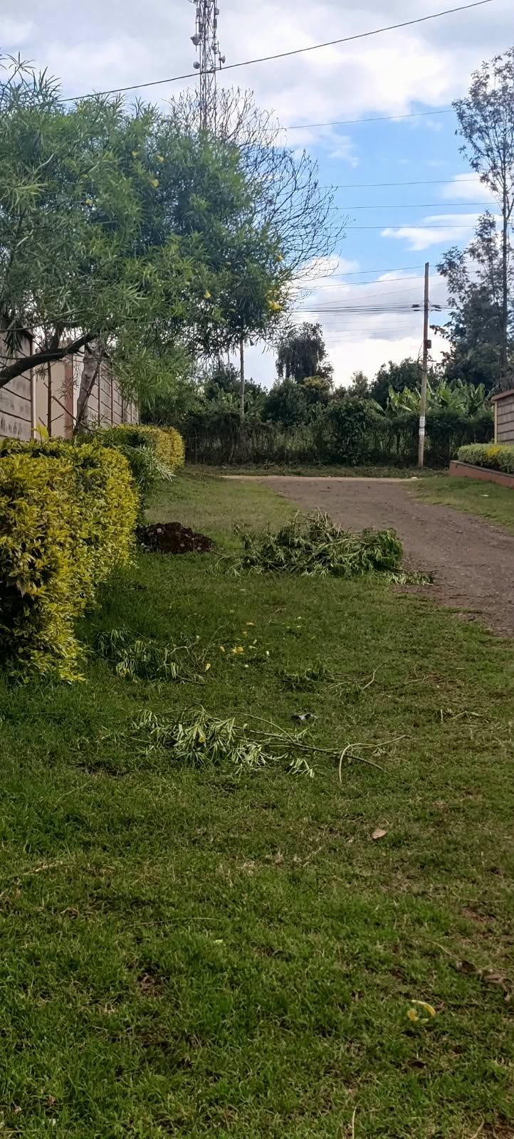 50 by 100 plot for sale in nyeri, gatitu area
