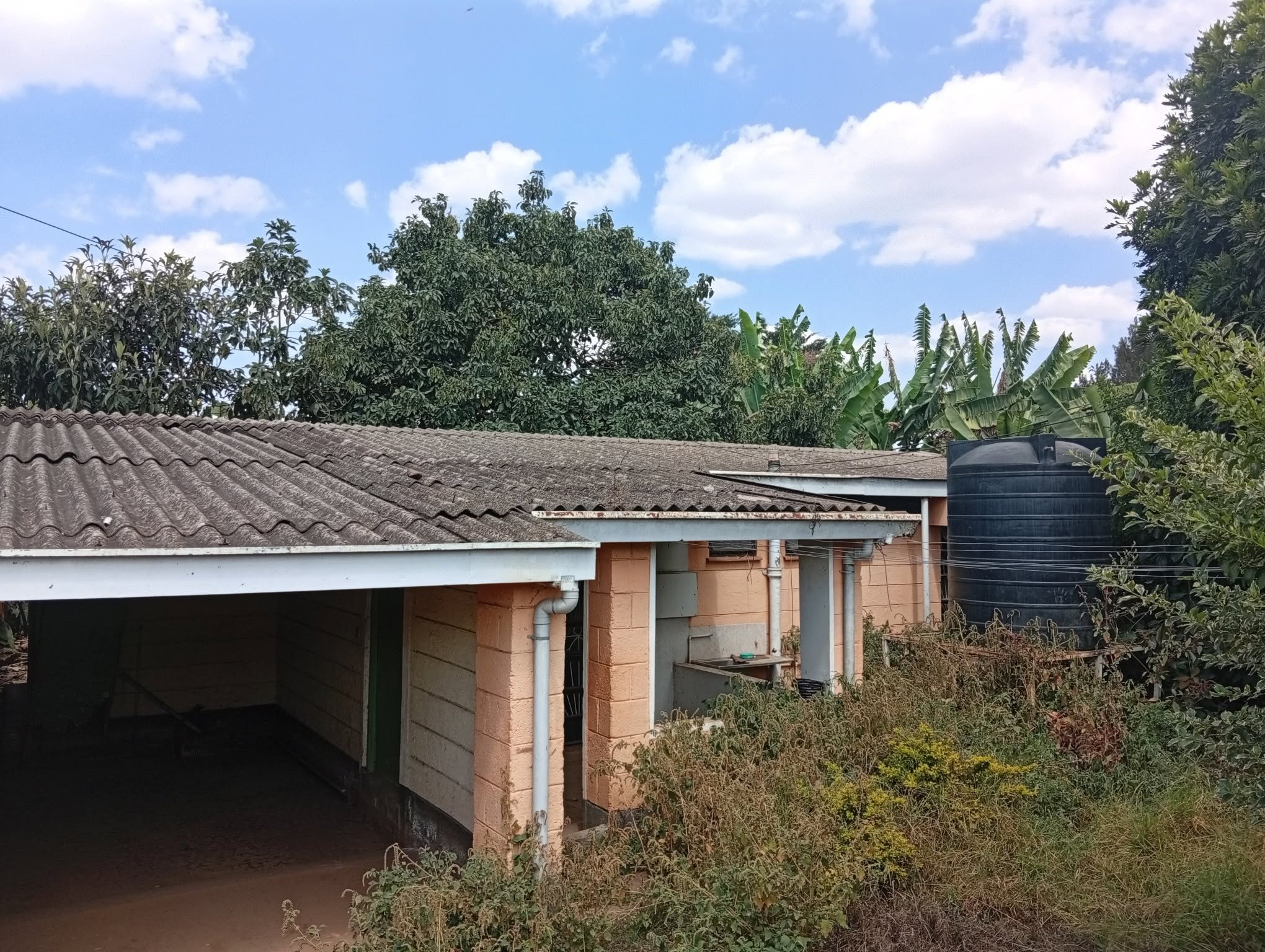 50 by 100 plot plus 3 bedroom bungalow for sale in langata