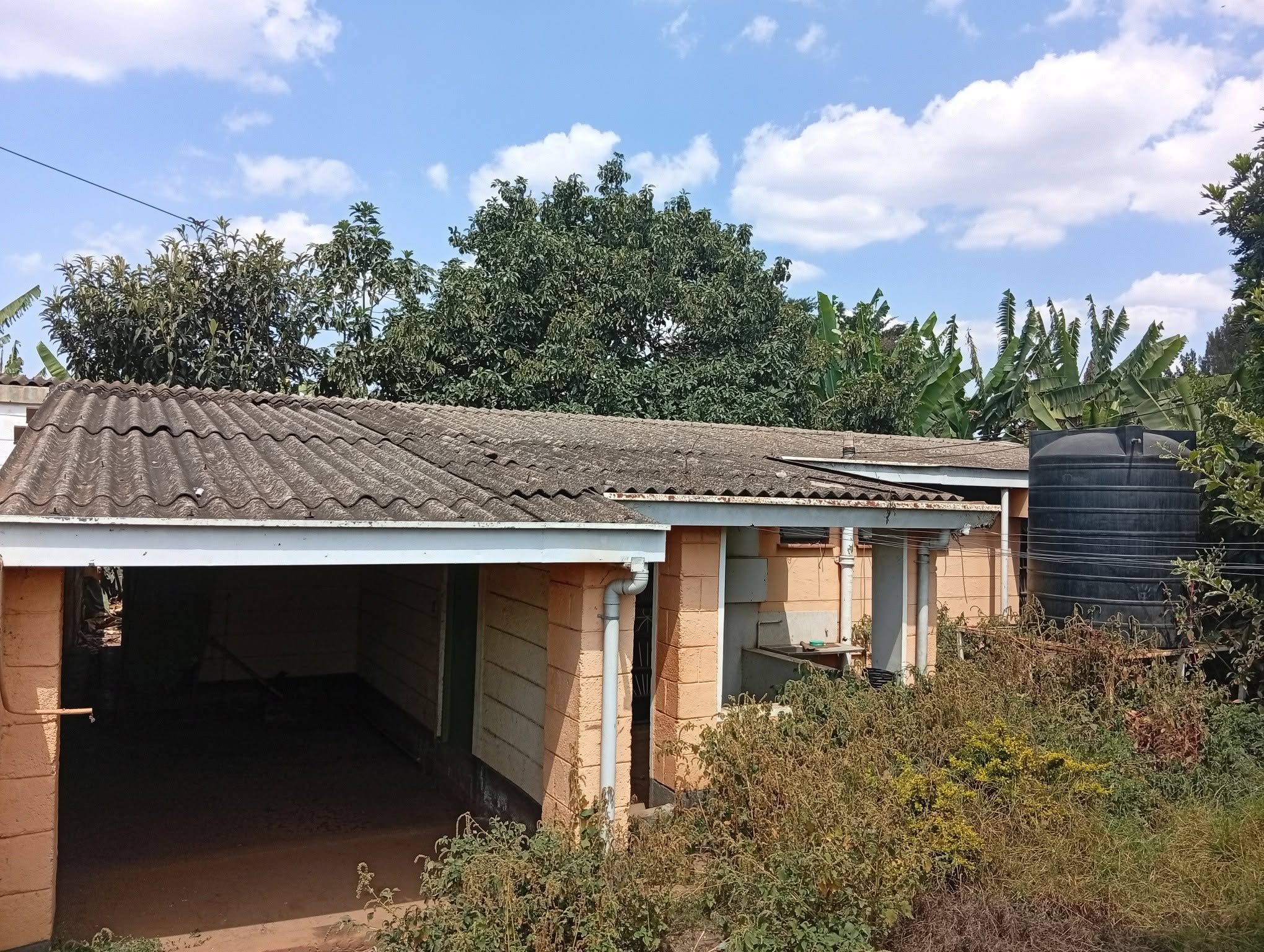 50 by 100 plot plus 3 bedroom bungalow for sale in langata Image