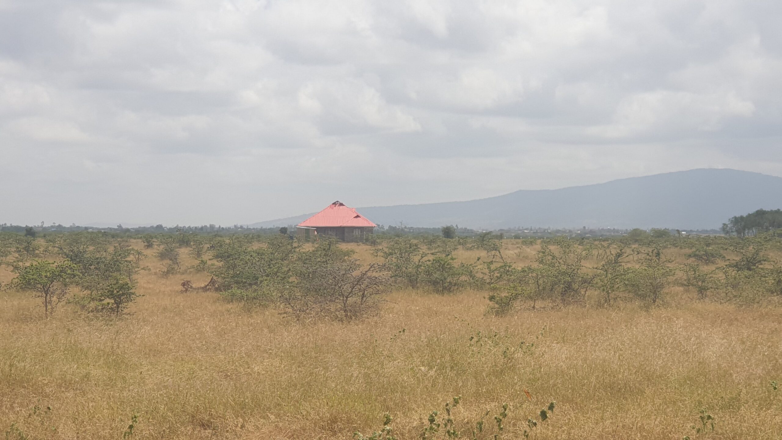 50 by 100 plots For Sale in Mwalimu Farm – Ruiru East