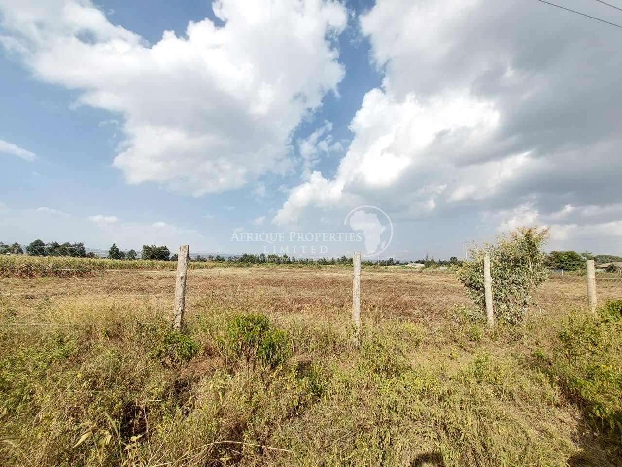 50 by 100 residential plots for sale in naivasha