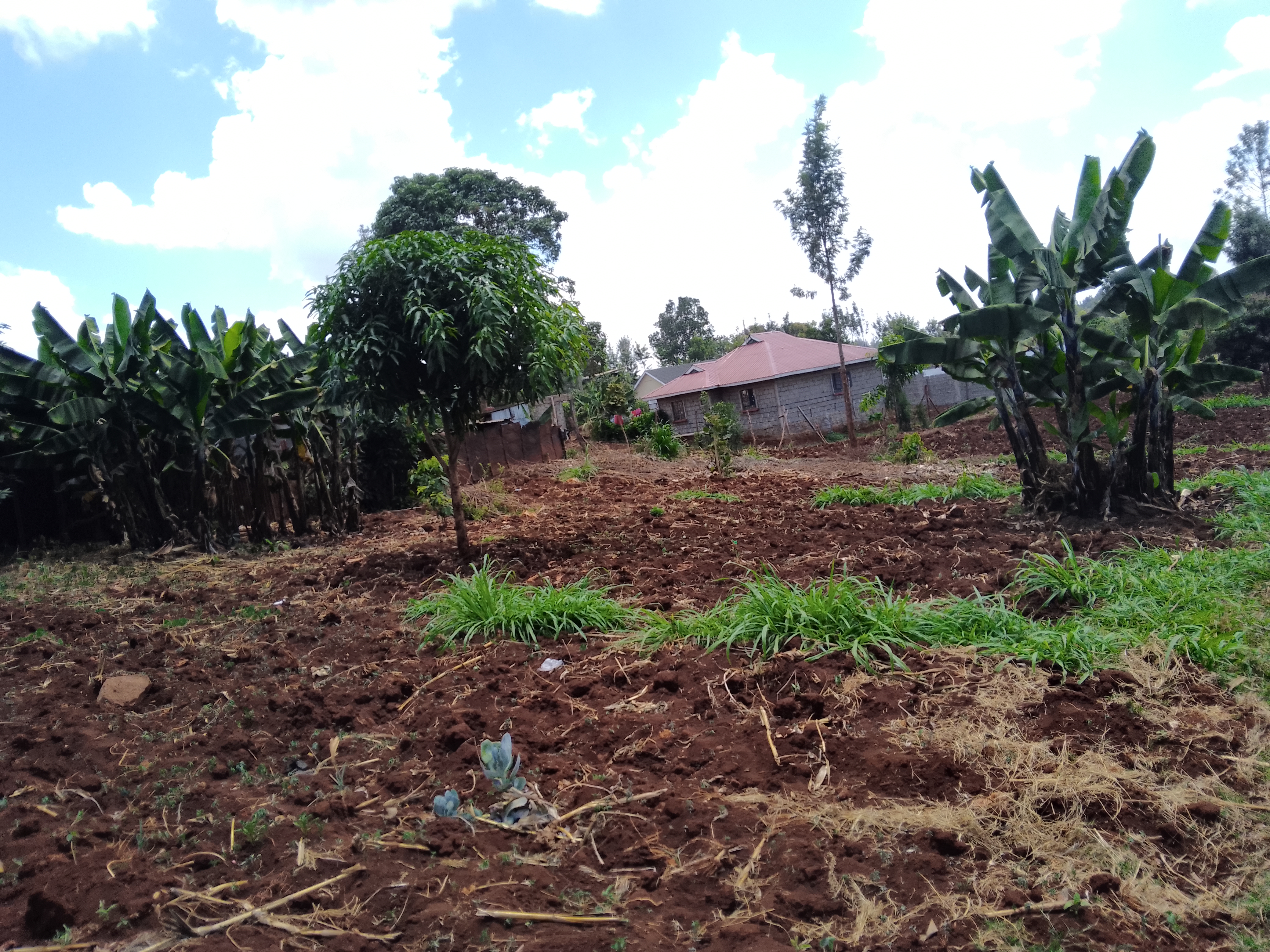 50 by 100 plot for sale in Kenol muranga