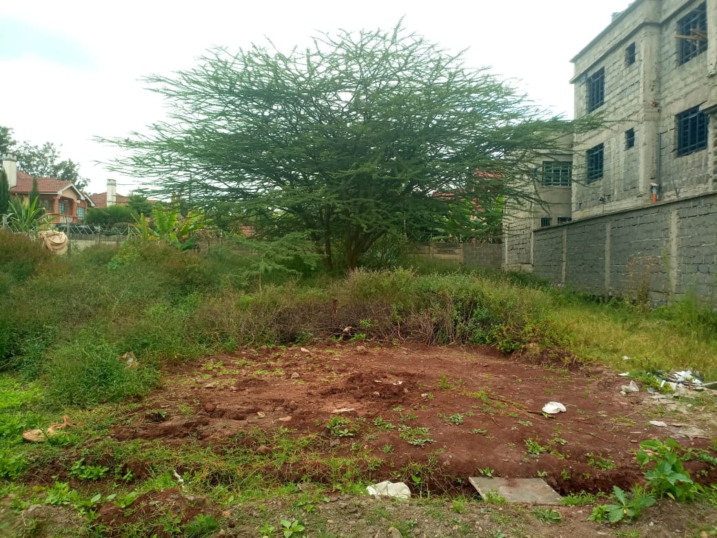 50 by 155 plot for sale in Ole Shapara Avenue